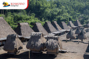 Bena Traditional Village