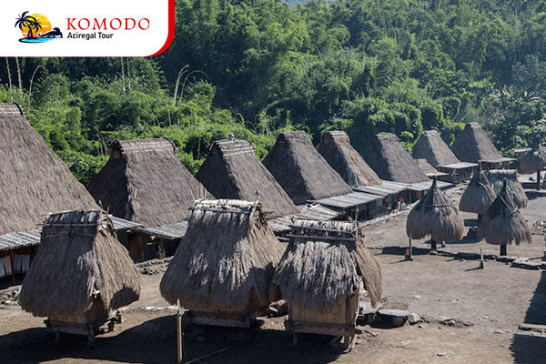 Bena Traditional Village