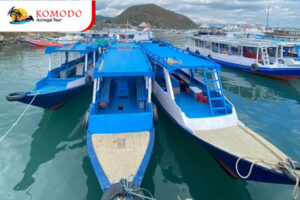 Paket Half Day Trip