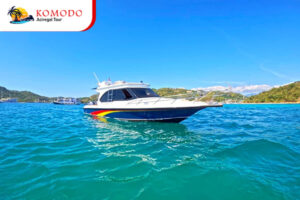 Sales Package Komodo Aciregal Tour (1)