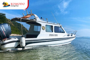 Sales Package Komodo Aciregal Tour (3)