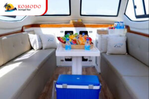 Sales Package Komodo Aciregal Tour (9)